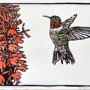 Ruby-Throated Humming Bird.jpg
